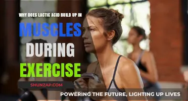Unraveling the Mystery: Lactic Acid Buildup in Muscles During Exercise