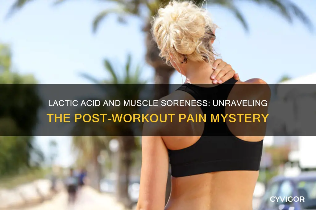 why does lactic acid cause muscle soreness