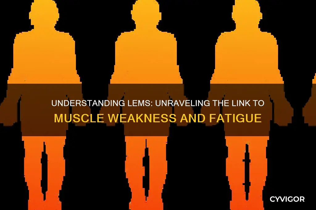 why does lems cause muscle weakness