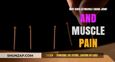 Understanding Letrozole's Impact: Joint and Muscle Pain Explained