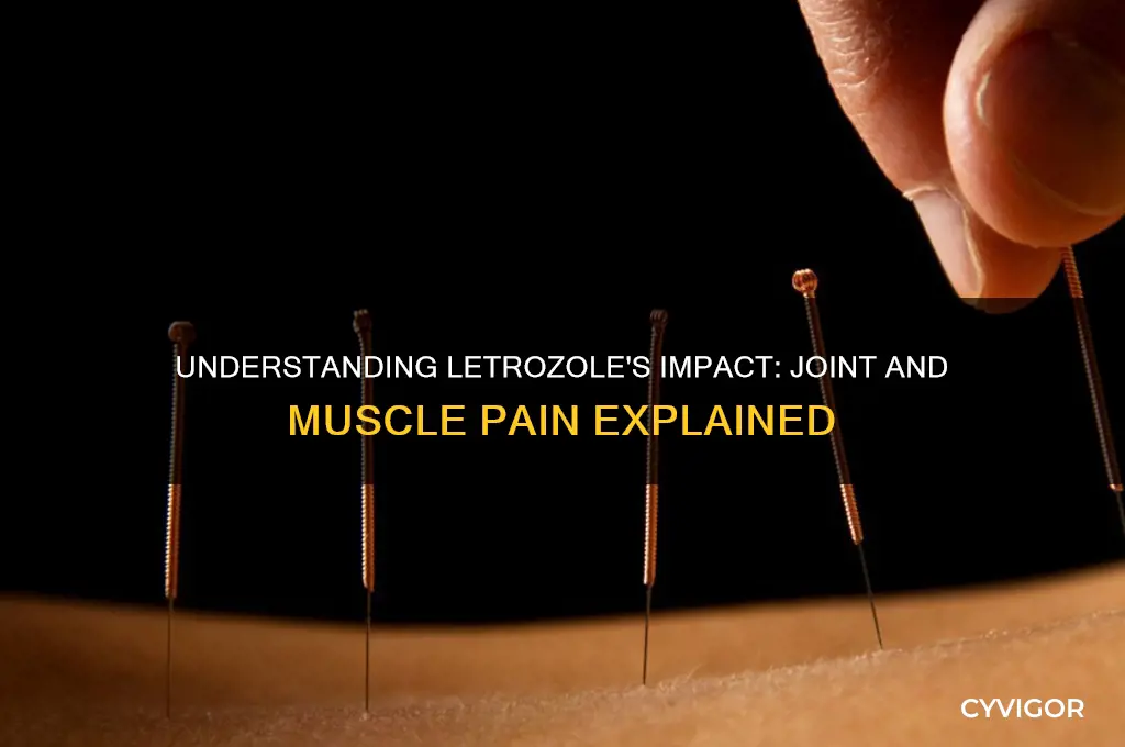 why does letrozole cause joint and muscle pain
