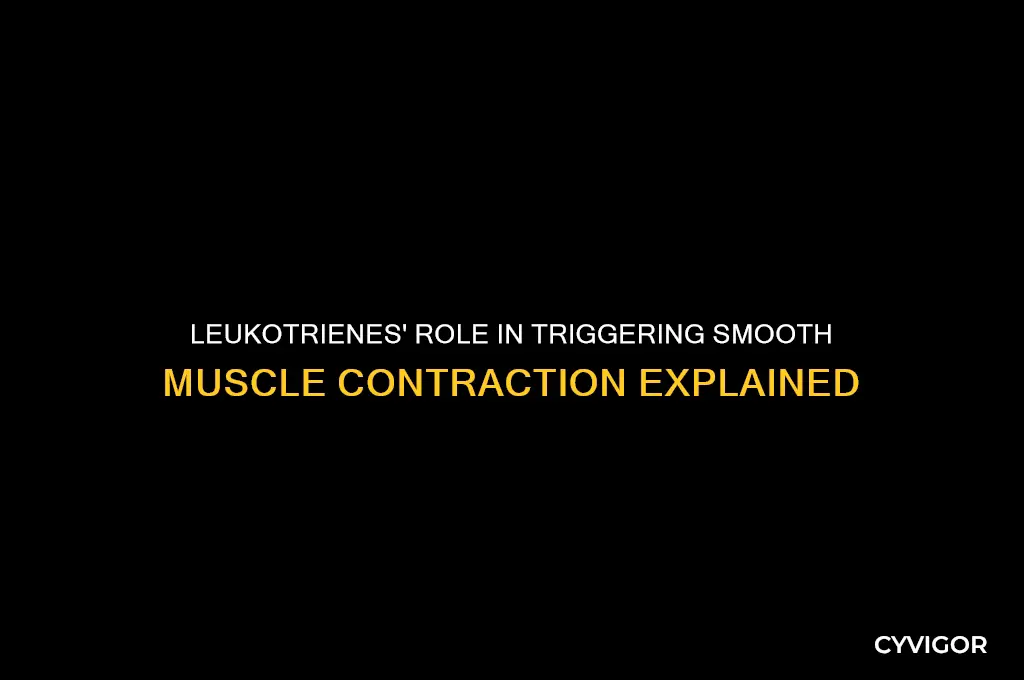 why does leukotreines cause smooth muscle contraction