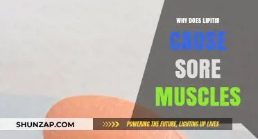 Lipitor and Muscle Pain: Understanding the Link and Relief Options