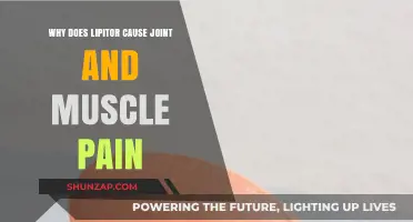 Lipitor Side Effects: Understanding Joint and Muscle Pain Causes