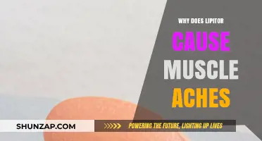 Understanding Lipitor Side Effects: Why Muscle Aches Occur and How to Manage