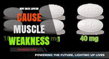 Understanding Lipitor's Link to Muscle Weakness: Causes and Concerns