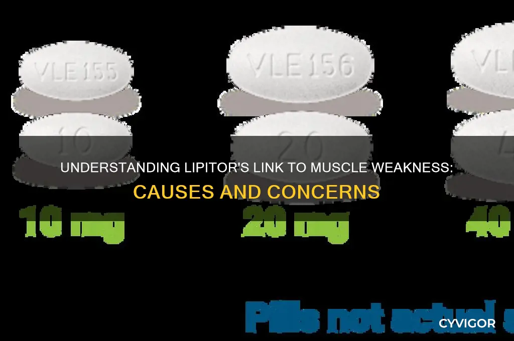 why does lipitor cause muscle weakness