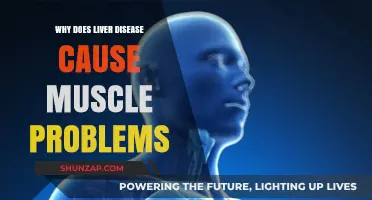 Liver Disease and Muscle Weakness: Understanding the Hidden Connection
