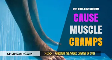 Low Calcium and Muscle Cramps: Understanding the Connection and Causes