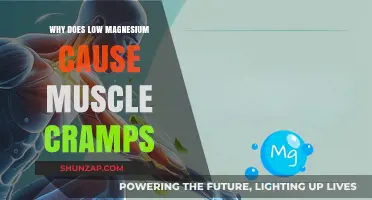 Low Magnesium and Muscle Cramps: Unraveling the Painful Connection