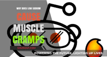 Low Sodium and Muscle Cramps: Unraveling the Hidden Connection