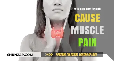 Low Thyroid and Muscle Pain: Unraveling the Hormonal Connection
