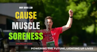 LSD and Muscle Soreness: Unraveling the Unexpected Physical Aftermath
