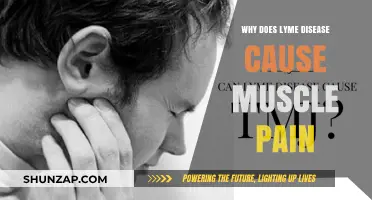 Lyme Disease and Muscle Pain: Understanding the Connection and Causes