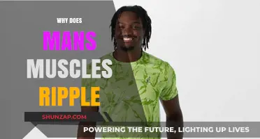 Mans' Muscles Ripple: What's the Science?