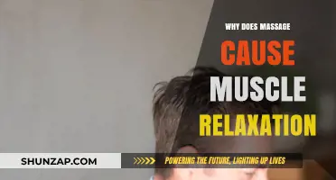 How Massage Therapy Triggers Muscle Relaxation and Relieves Tension
