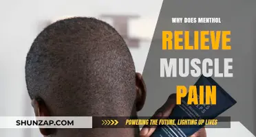 How Menthol Provides Soothing Relief for Muscle Pain and Aches