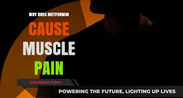Metformin and Muscle Pain: Understanding the Uncomfortable Side Effect