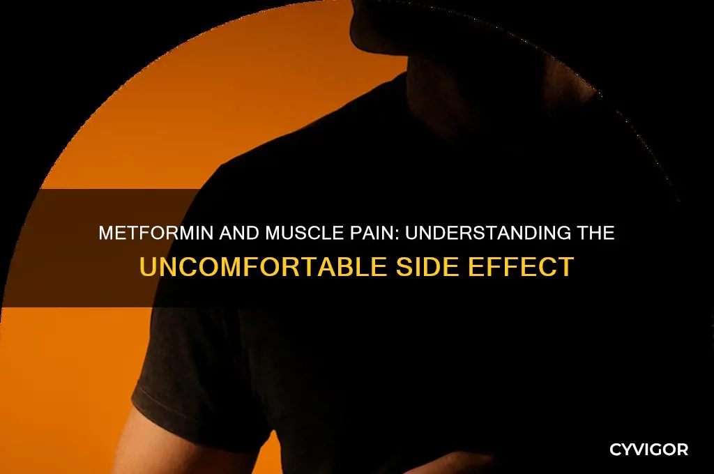 why does metformin cause muscle pain