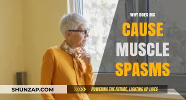 Understanding Multiple Sclerosis: The Link Between MS and Muscle Spasms