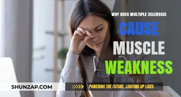 Understanding Multiple Sclerosis: Unraveling the Causes of Muscle Weakness