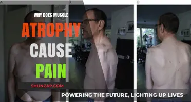 Understanding Muscle Atrophy Pain: Causes, Mechanisms, and Relief Strategies
