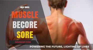 Understanding Muscle Soreness: Causes, Recovery, and Prevention Strategies