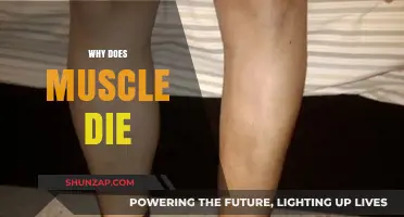 The Mystery of Muscle Atrophy: Why Do Muscles Waste Away?