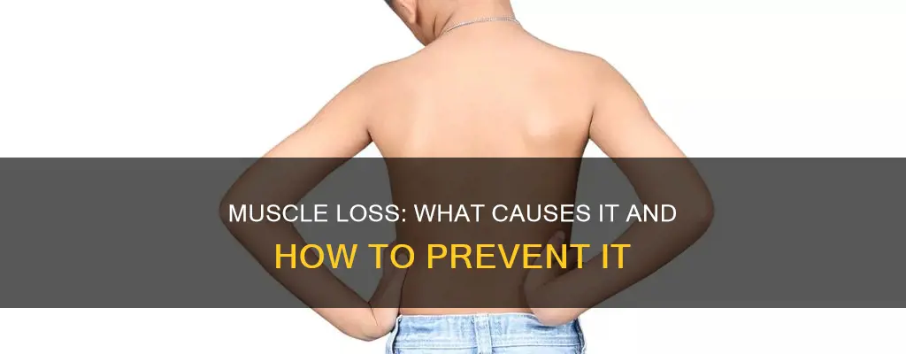 why does muscle go away