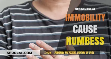 Muscle Immobility and Numbness: Understanding the Connection and Causes