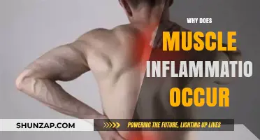 Muscle Inflammation: Understanding the Root Cause