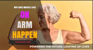 Understanding Arm Muscle Loss: Causes, Prevention, and Effective Solutions