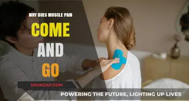 Understanding the Mystery of Intermittent Muscle Pain: Causes and Relief
