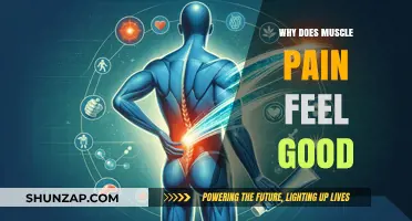 Why Muscle Pain Feels Good: Unraveling the Science Behind the Burn