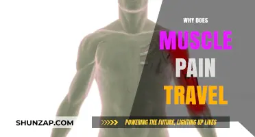 Why Muscle Pain Spreads: Understanding the Traveling Ache Phenomenon