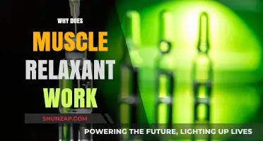Understanding Muscle Relaxants: How They Work and Why They're Effective