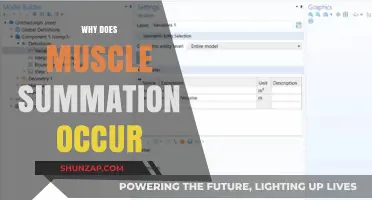 Understanding Muscle Summation: How Muscles Work Together