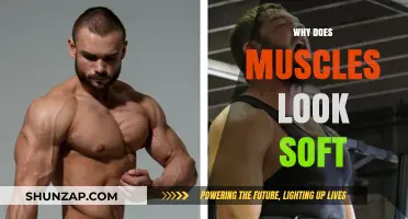 The Science Behind Soft Muscles