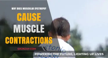 Understanding Muscular Dystrophy: Unraveling the Causes of Muscle Contractions