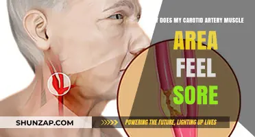 Carotid Artery Muscle Soreness: Causes, Concerns, and When to Seek Help