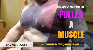 Chest Pain: Understanding Muscle Strain and Other Possible Causes