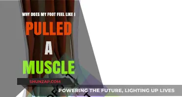 Foot Muscle Pain: Causes, Symptoms, and Effective Relief Strategies