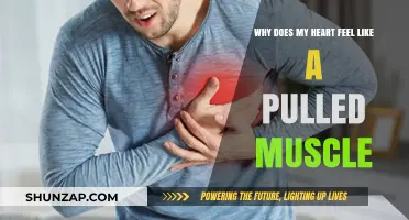 Heart Feels Like Pulled Muscle? Unraveling Chest Pain Causes and Concerns