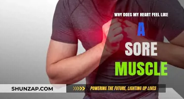 Heart Feels Like Sore Muscle? Causes and Remedies Explained