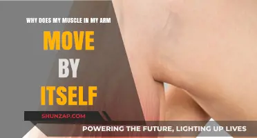 Why Arm Muscles Twitch or Move Involuntarily: Causes Explained