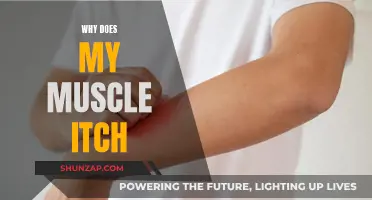 Muscle Itch: What's the Cause and How to Stop It?