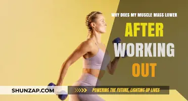 Muscle Mass Decline Post-Workout: Understanding Causes and Solutions