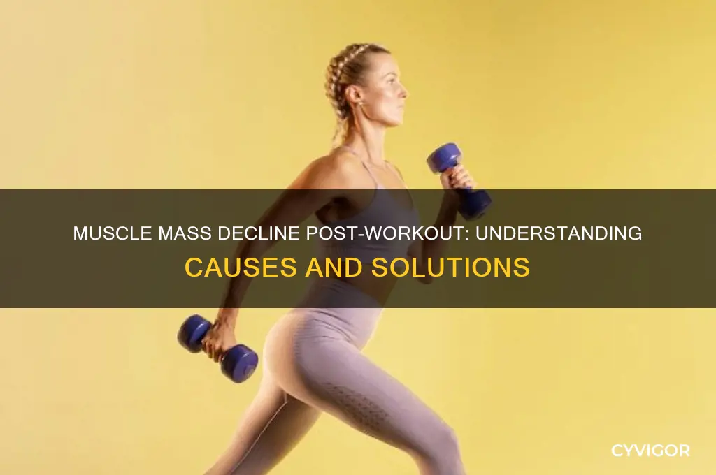 why does my muscle mass lower after working out