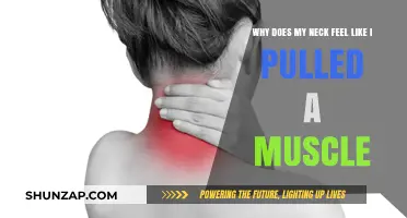 Neck Pain Explained: Causes of Pulled Muscle Sensation and Relief Tips