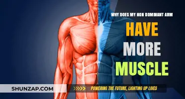 Why Your Non-Dominant Arm May Have More Muscle: Explained